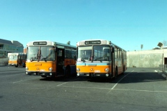 Buses-596-and-665-Belconnen-Interchange