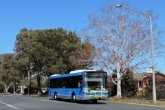 Bus-665-Starke-Street