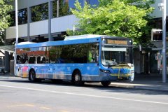 Bus665-CityBs-1