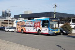 Bus665-CohenSt-2
