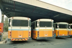 Buses-666-664-and-593-Belconnen-Depot