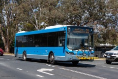 Bus-666-Hodgson-Crescent