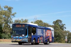 Bus666-AdelaideAv-1