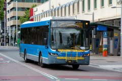 Bus667-CityBs-1