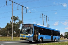 Bus 669 - Antill St