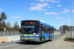 Bus670-ManningClark-1