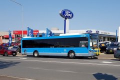 Bus671-Cohen-1