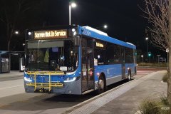 Bus671-DicksonInt-1