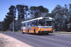 Bus-672-Barry-Drive