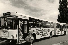 Bus-673-Menindee-Drive