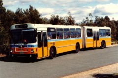 Bus-673-John-Knight-Park