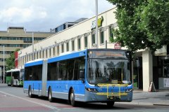 Bus673-CityBs-1