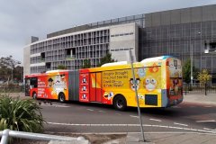 Bus674-CohenStreet-1