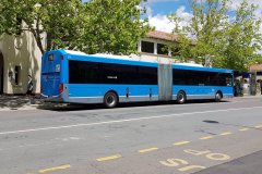 Bus674-CityBs-1