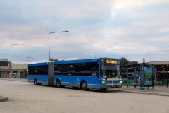 Bus676-CohenStBS-1