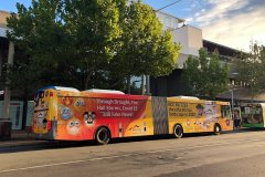 Bus679-AlingaSt-1