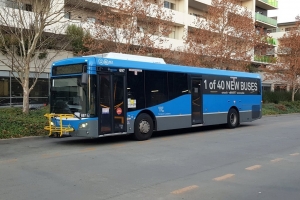 BUS 697-2