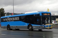 Bus697-CohenSt-1