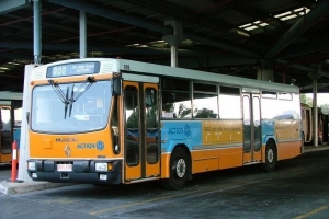 BUS 698-1