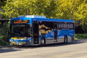 BUS 699-2