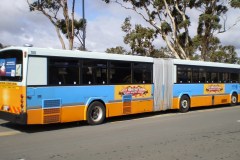 BUS 700