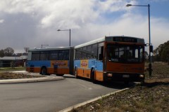 BUS 700
