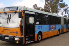BUS 700