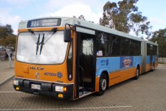 BUS 700 - BLACK MTN DR