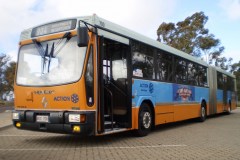 BUS 700 - BLACK MTN DR