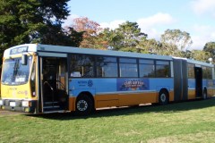 BUS 700