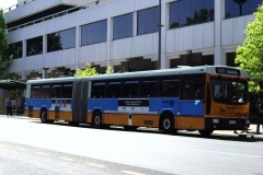 Bus-704-City-Interchange