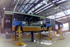 Bus-704-Workshop-2
