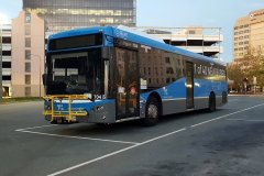 Bus704-CityWest-2
