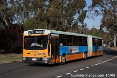 Bus-705