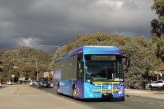 Bus-710-Box-Hill-Avenue