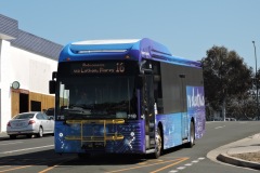Bus-710-Cohen-Street