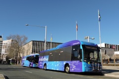 Bus-710-London-Cct-with-Bus-712-