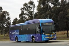 Bus710-Aikman-1