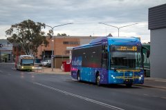 Bus710-Brierly-1