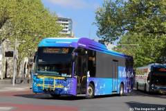 Bus710-CityBs-1