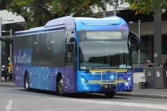 Bus710-CityBs-2