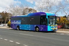 Bus710-Hardwick-1