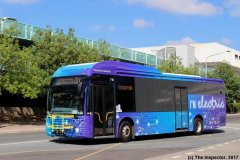 Bus710-WodenBs-2