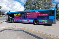 Bus710-CohenStBS-1