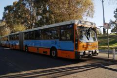 BUS 711