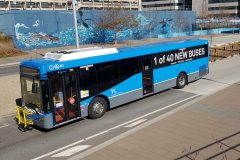 Bus711-Bcbs