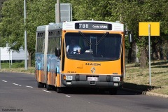 Bus-712-Kings-Avenue-2