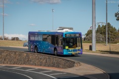 Bus-712-London-Circuit