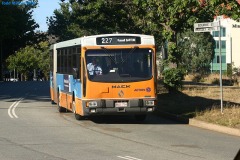 Bus-716-National-Circuit