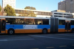 Bus-716-Woden-Interchange-2